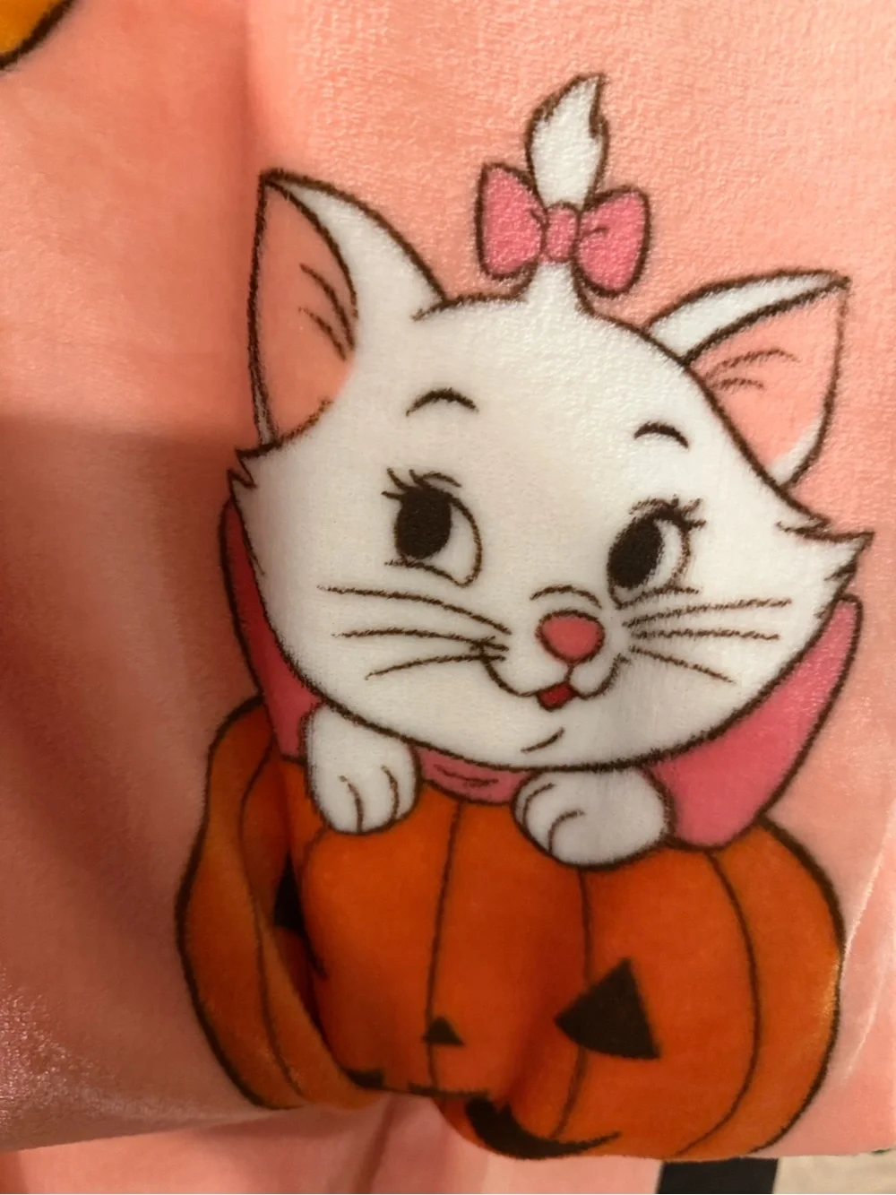 Disney Pumpkin & Character Marie the Cat Pink Plush Blanket